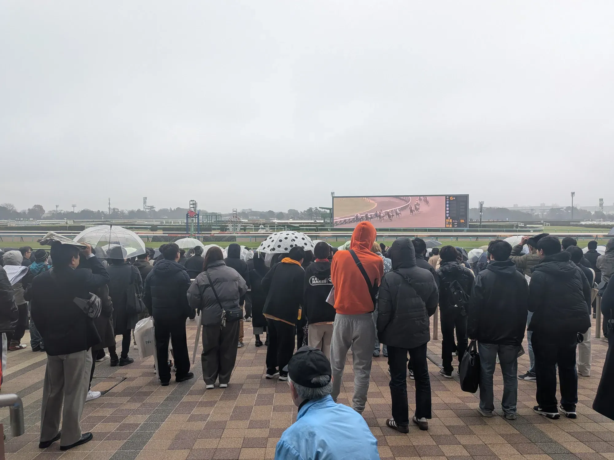 レース前